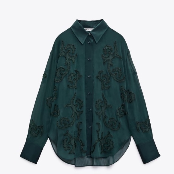 Zara Embroiled Semi Sheer Top - Picture 4 of 8